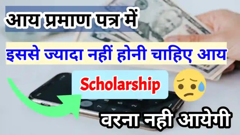 आय प्रमाण पत्र में वार्षिक आय कितनी होनी चाहिए 2024 | आय प्रमाण पत्र में ज्यादा इनकम लिखने से क्या होगा